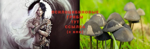 каннабис Беломорск