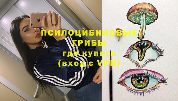 MDMA Белокуриха