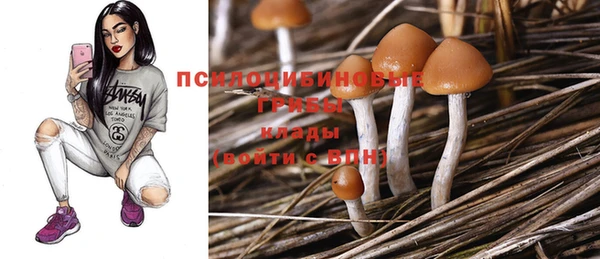 MDMA Белокуриха